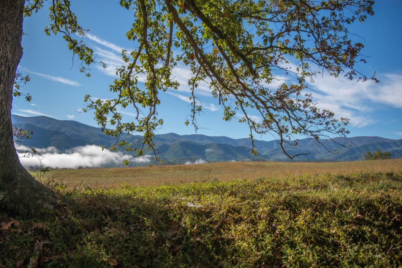 Вилла Mountain Escape Dupont Springs Экстерьер фото